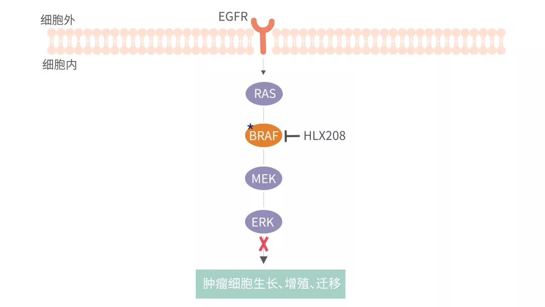 太阳集团5493